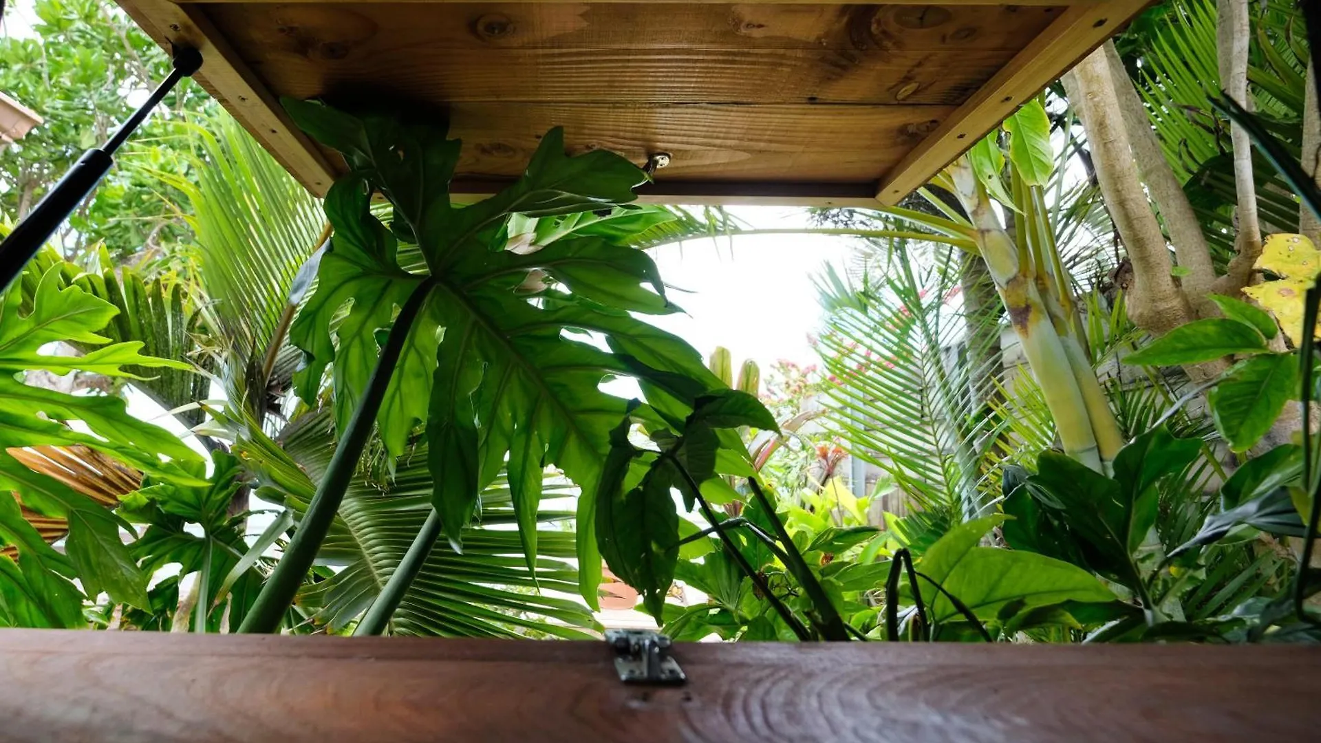 Villa Miti Vai By Enjoy Villas Iumaru 0*,