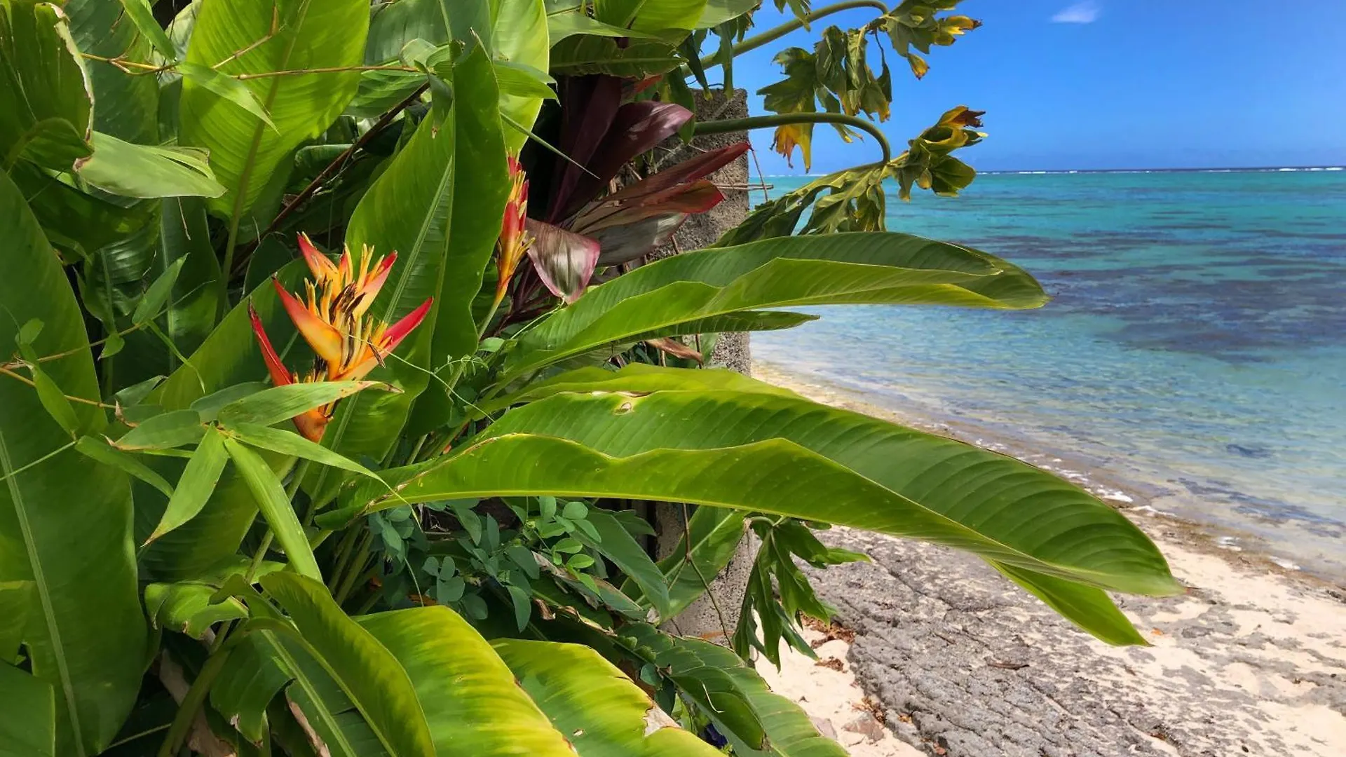 Villa Miti Vai By Enjoy Villas Iumaru 0*,  French Polynesia